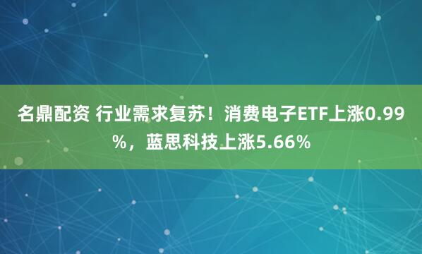 名鼎配资 行业需求复苏！消费电子ETF上涨0.99%，蓝思科技上涨5.66%