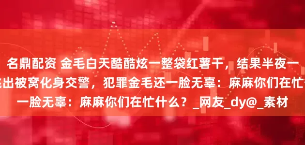 名鼎配资 金毛白天酷酷炫一整袋红薯干，结果半夜一个大“毒气弹”让主人跳出被窝化身交警，犯罪金毛还一脸无辜：麻麻你们在忙什么？_网友_dy@_素材