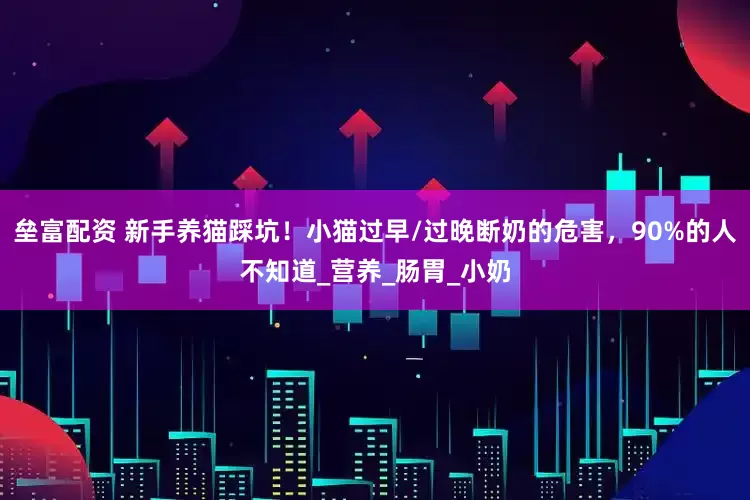 垒富配资 新手养猫踩坑！小猫过早/过晚断奶的危害，90%的人不知道_营养_肠胃_小奶