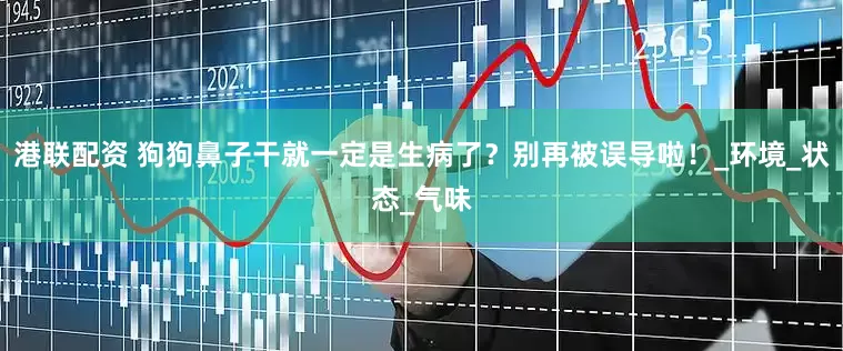 港联配资 狗狗鼻子干就一定是生病了？别再被误导啦！_环境_状态_气味